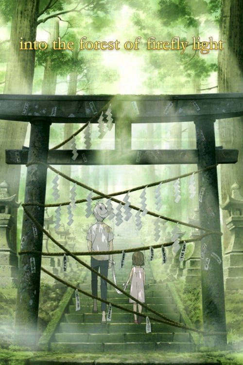 The Light of a Firefly Forest
